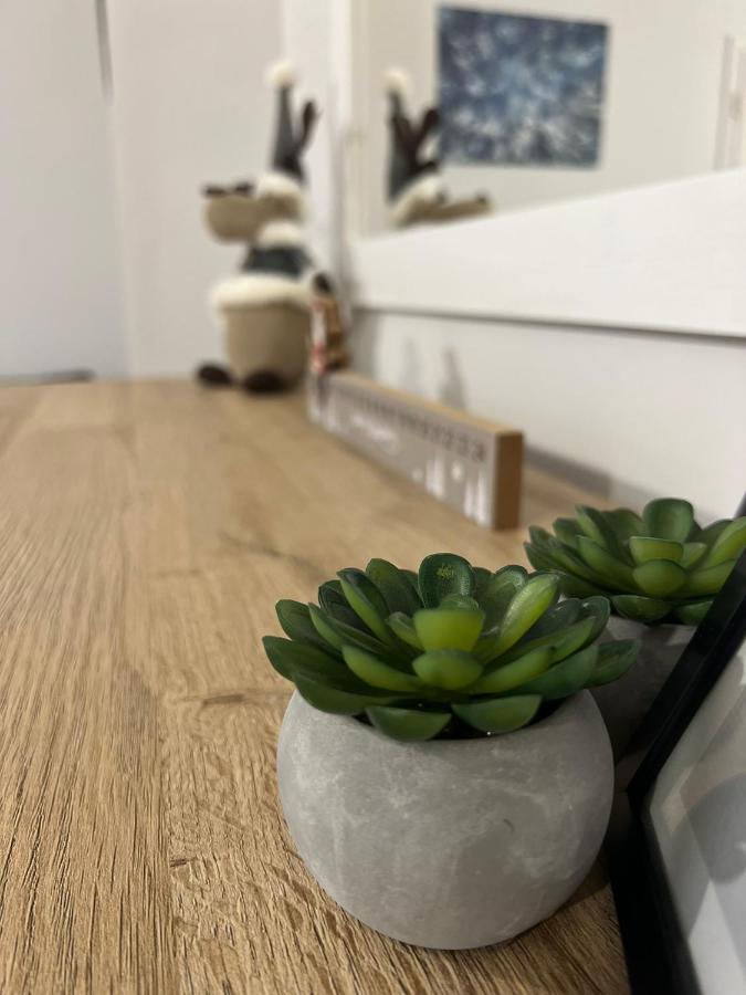 Przy Stoku I Potoku Lägenhet Wisła Exteriör bild